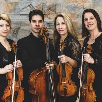 alfold_quartet_024_20220217