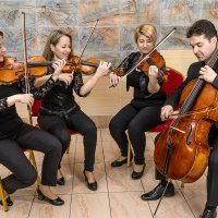 alfold_quartet_029_20220217