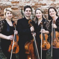 alfold_quartet_034_20220217