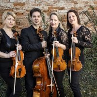 alfold_quartet_039_20220217