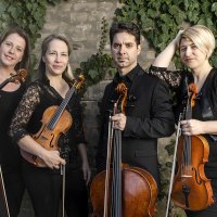 alfold_quartet_041_20220217