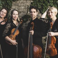 alfold_quartet_042_20220217