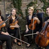 alfold_quartet_045_20220217